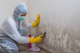 Best Mold Removal for HVAC Installations  in USA